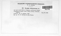 Image Associated With the Occurence